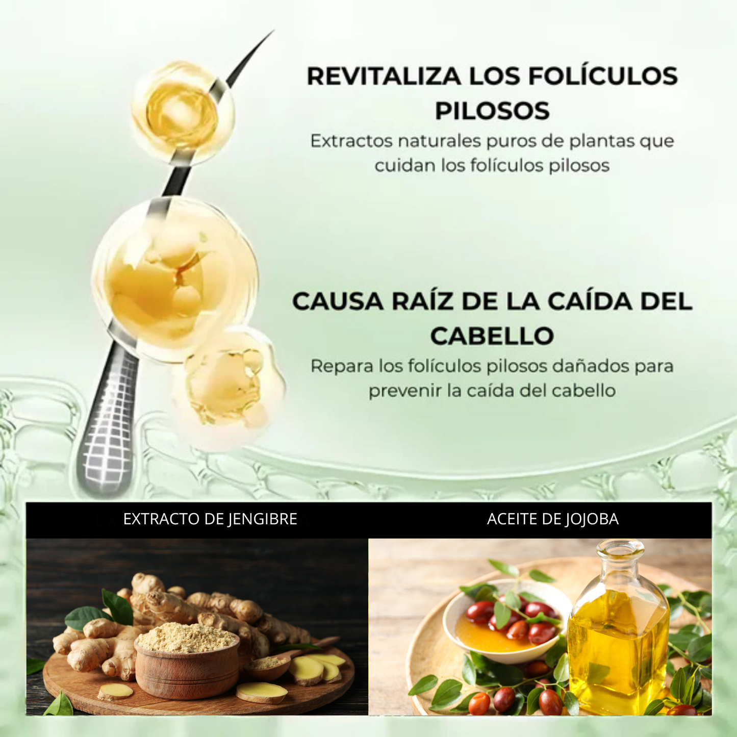 Crema Capilar de Jengibre – Formula Especial para Crecimiento y Nutrición del Cabello